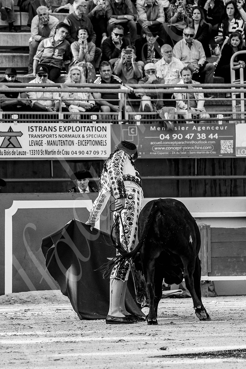 20240921 nimes 010 bd copie