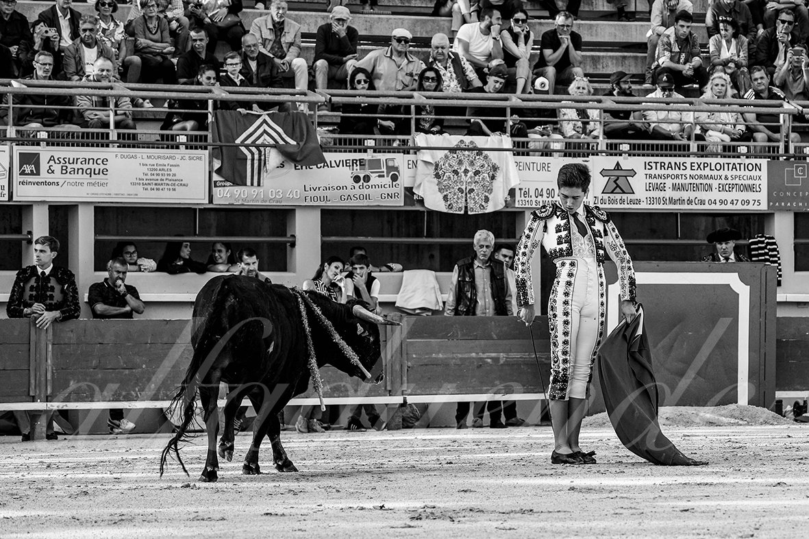 20240921 nimes 009 bd copie