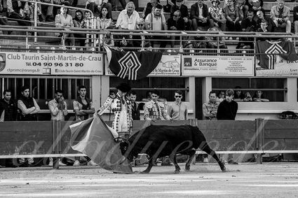 20240921 nimes 007 bd copie