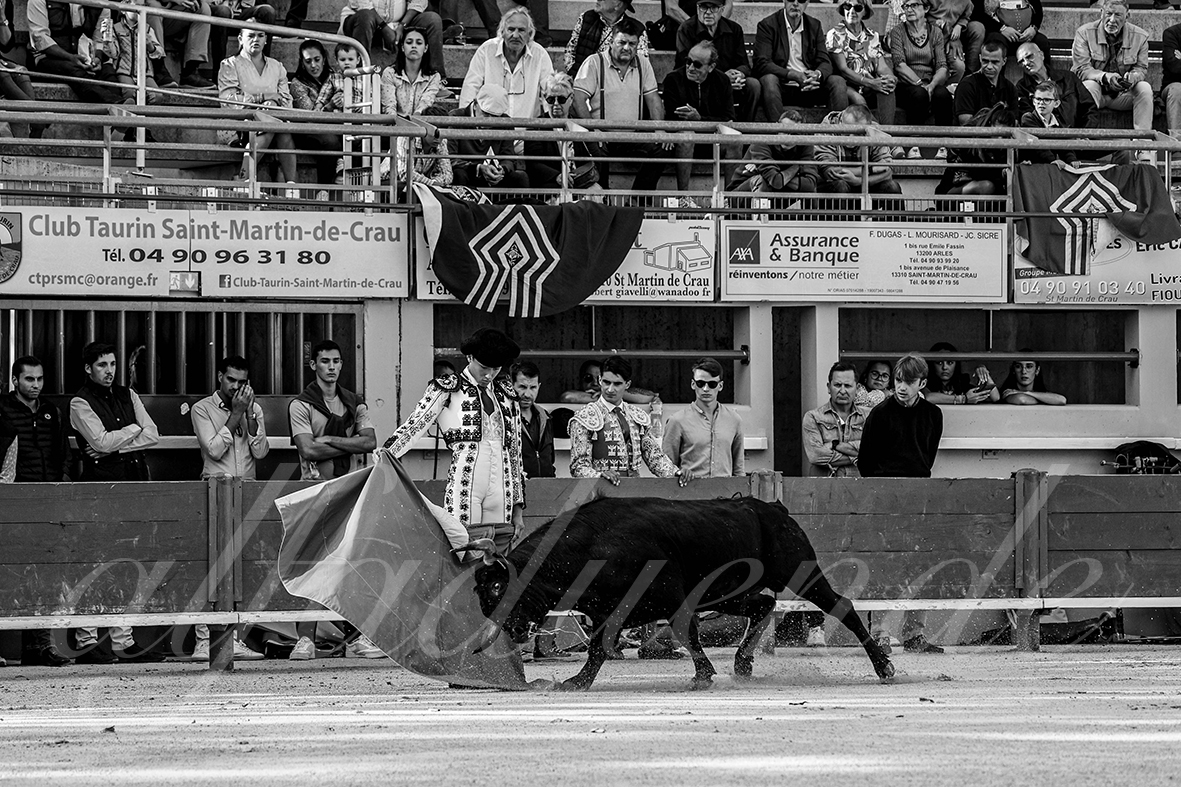 20240921 nimes 007 bd copie