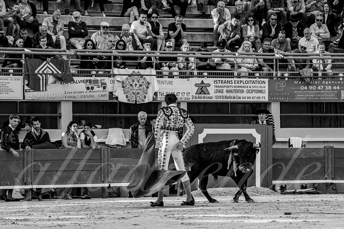 20240921 nimes 012 bd copie