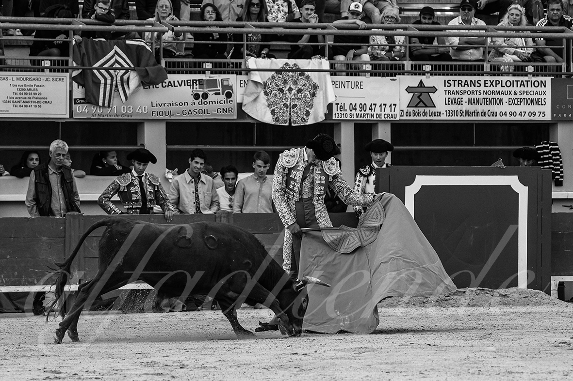 20240921 nimes 027 bd copie