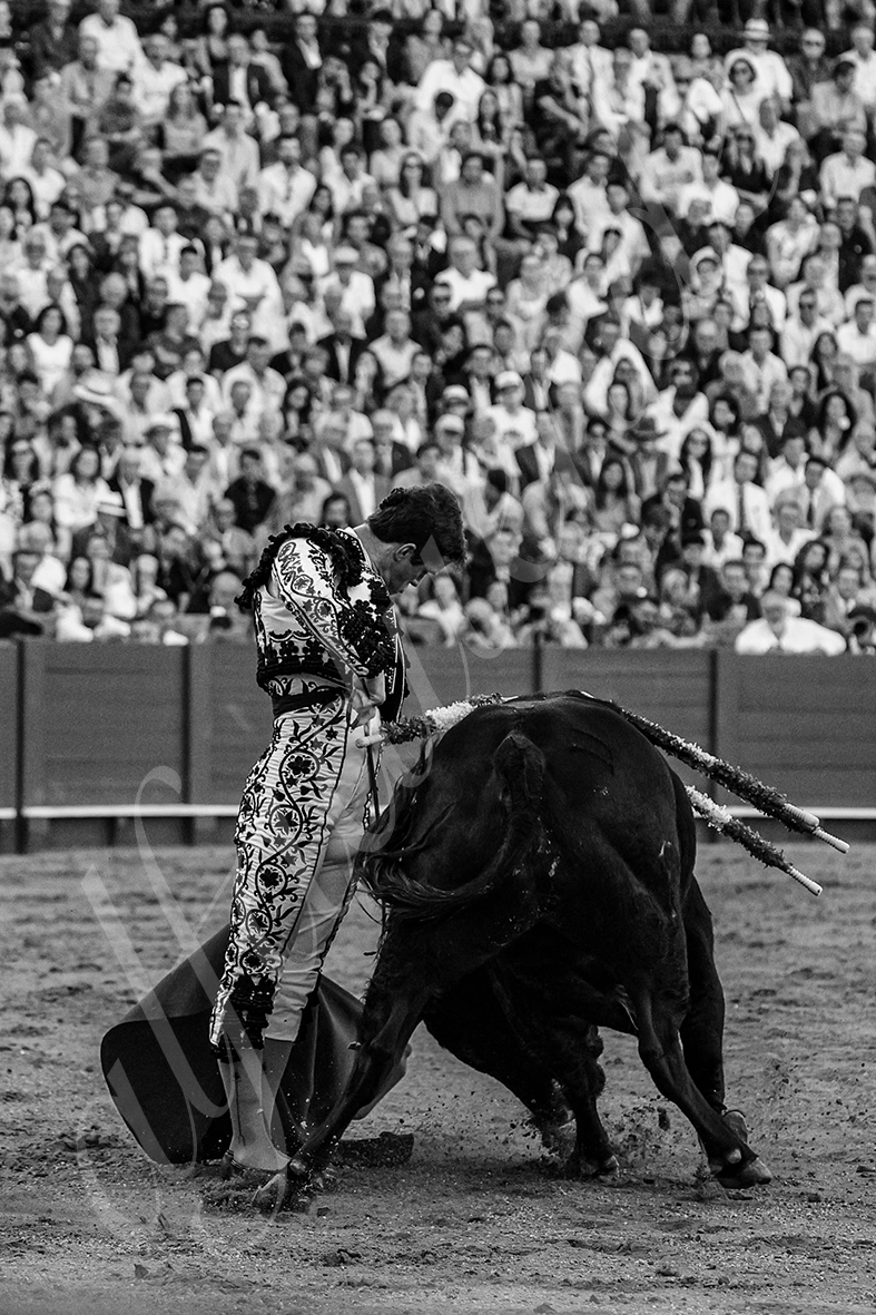 20240927 sevilla 025 bd