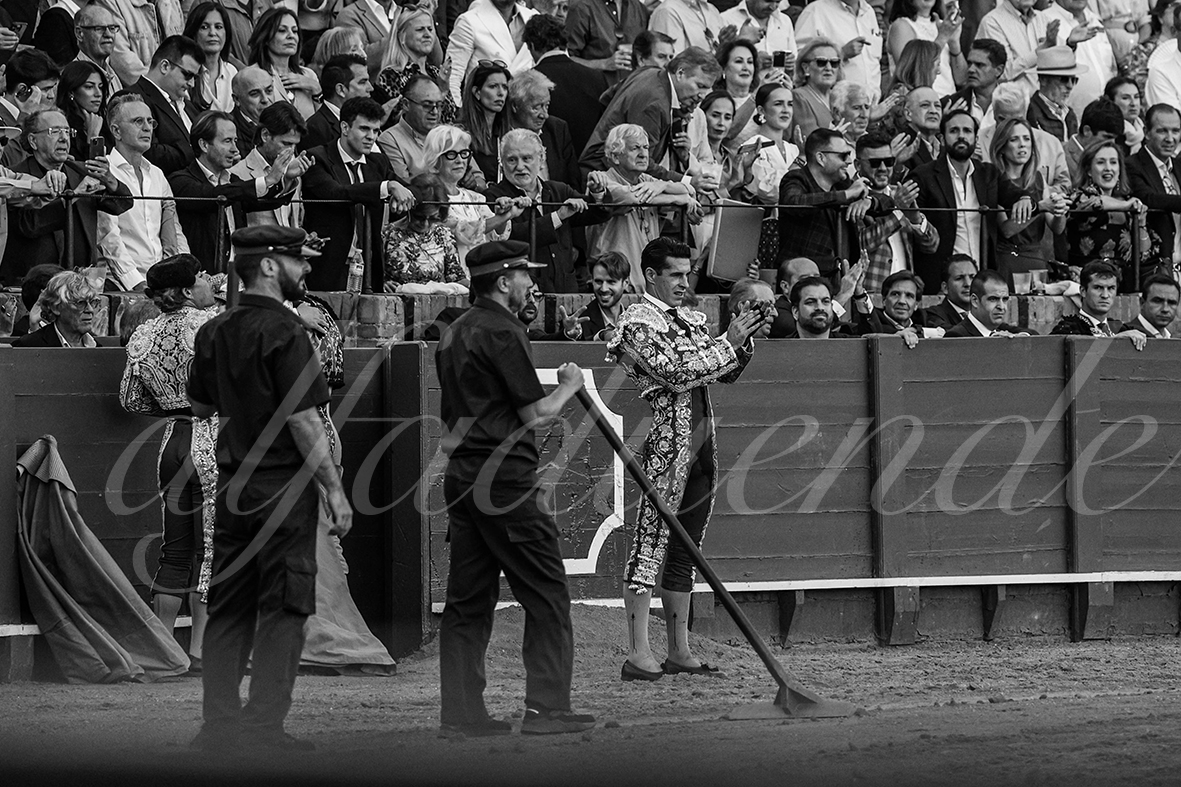 20240927 sevilla 021 bd