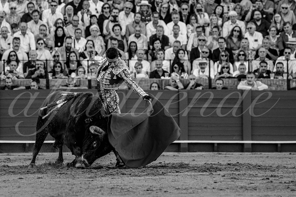 20240927 sevilla 012 bd