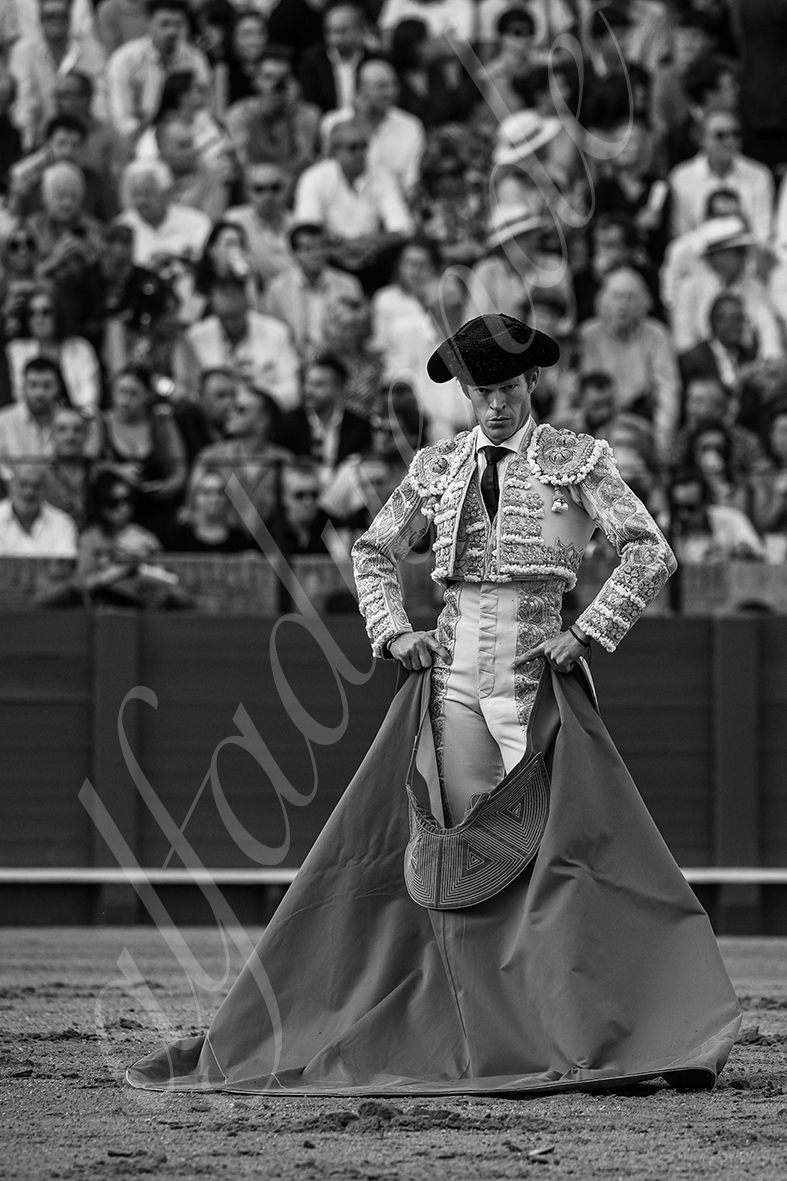 20240928 sevilla 013 bd