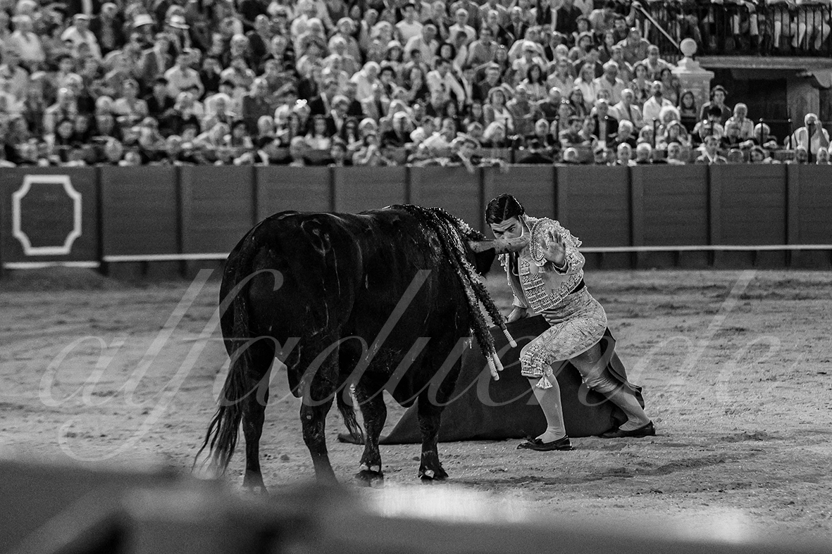 20240929 sevilla 028 bd