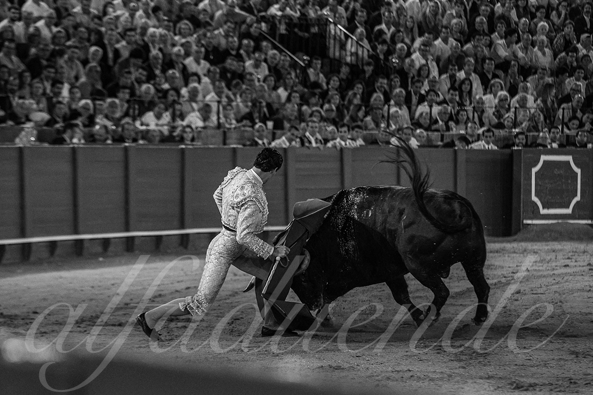 20240929 sevilla 027 bd