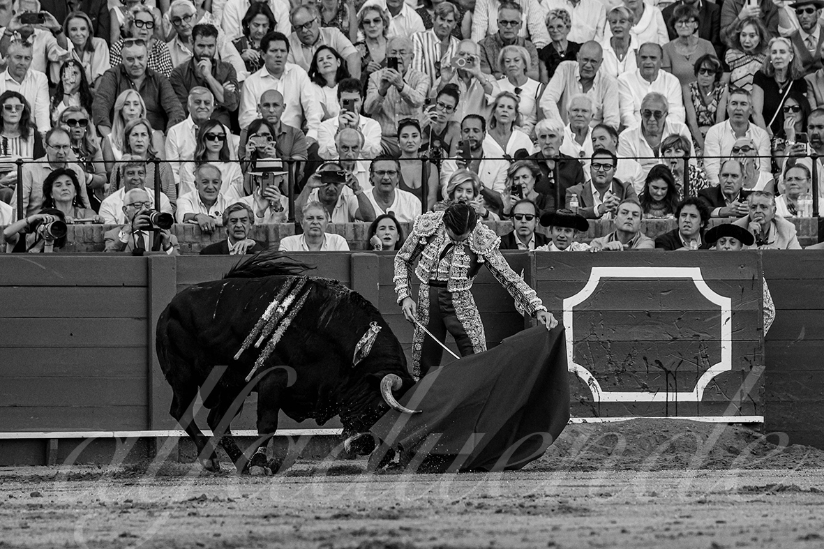 20240929 sevilla 014 bd