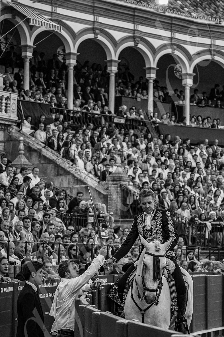 20240929 sevilla 003 bd