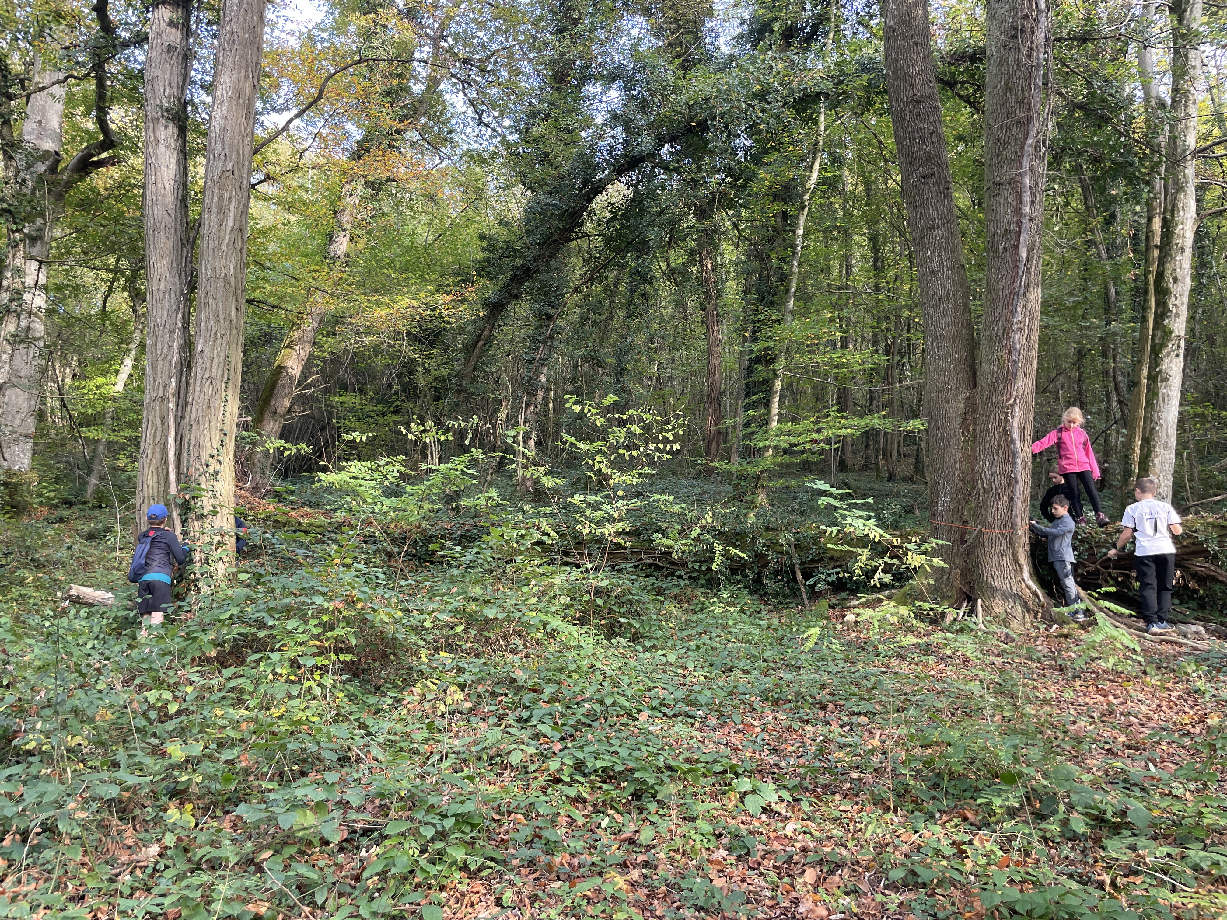 Photo 05 11 2024 15 09 48