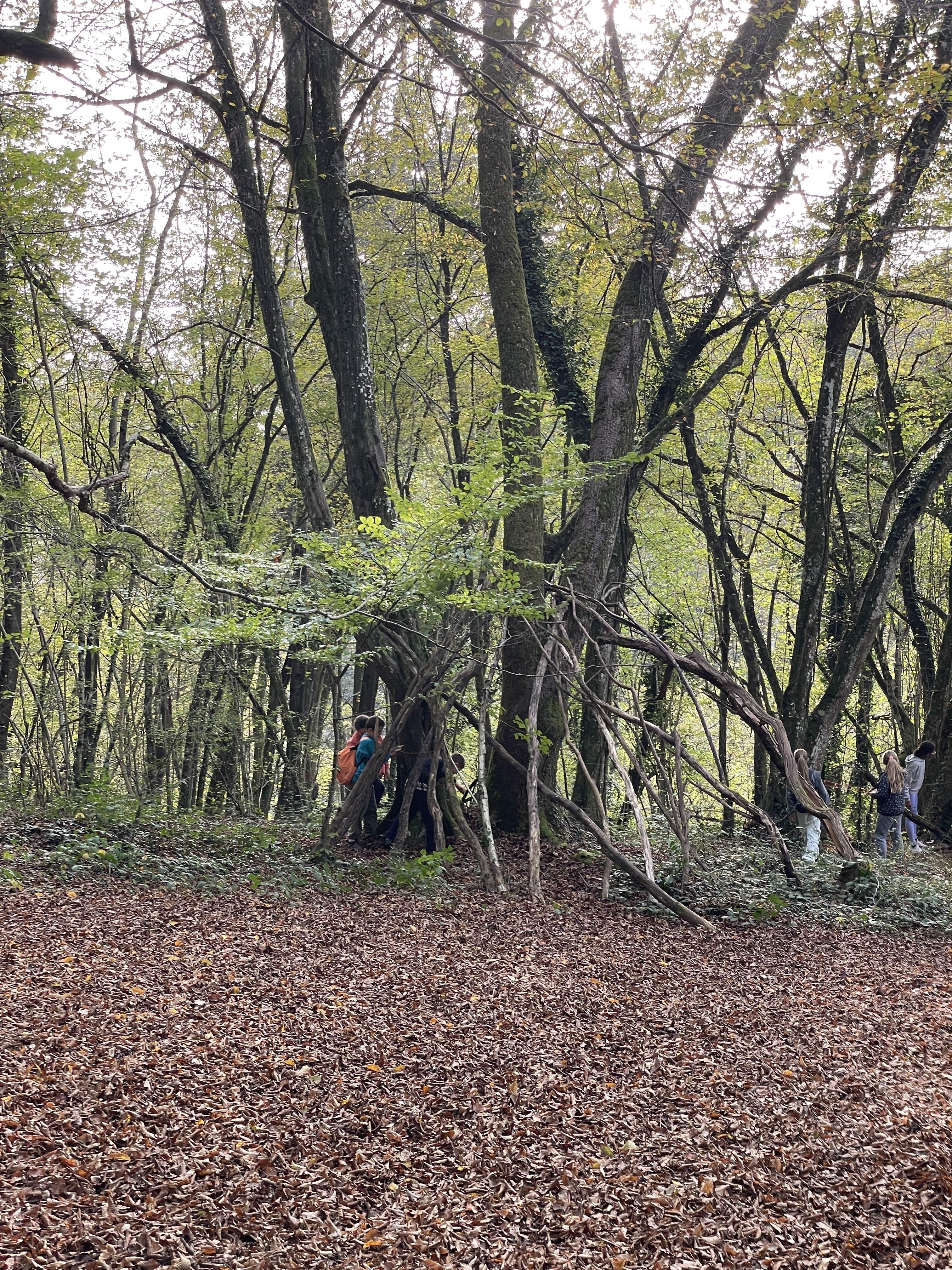 Photo 05 11 2024 15 05 56