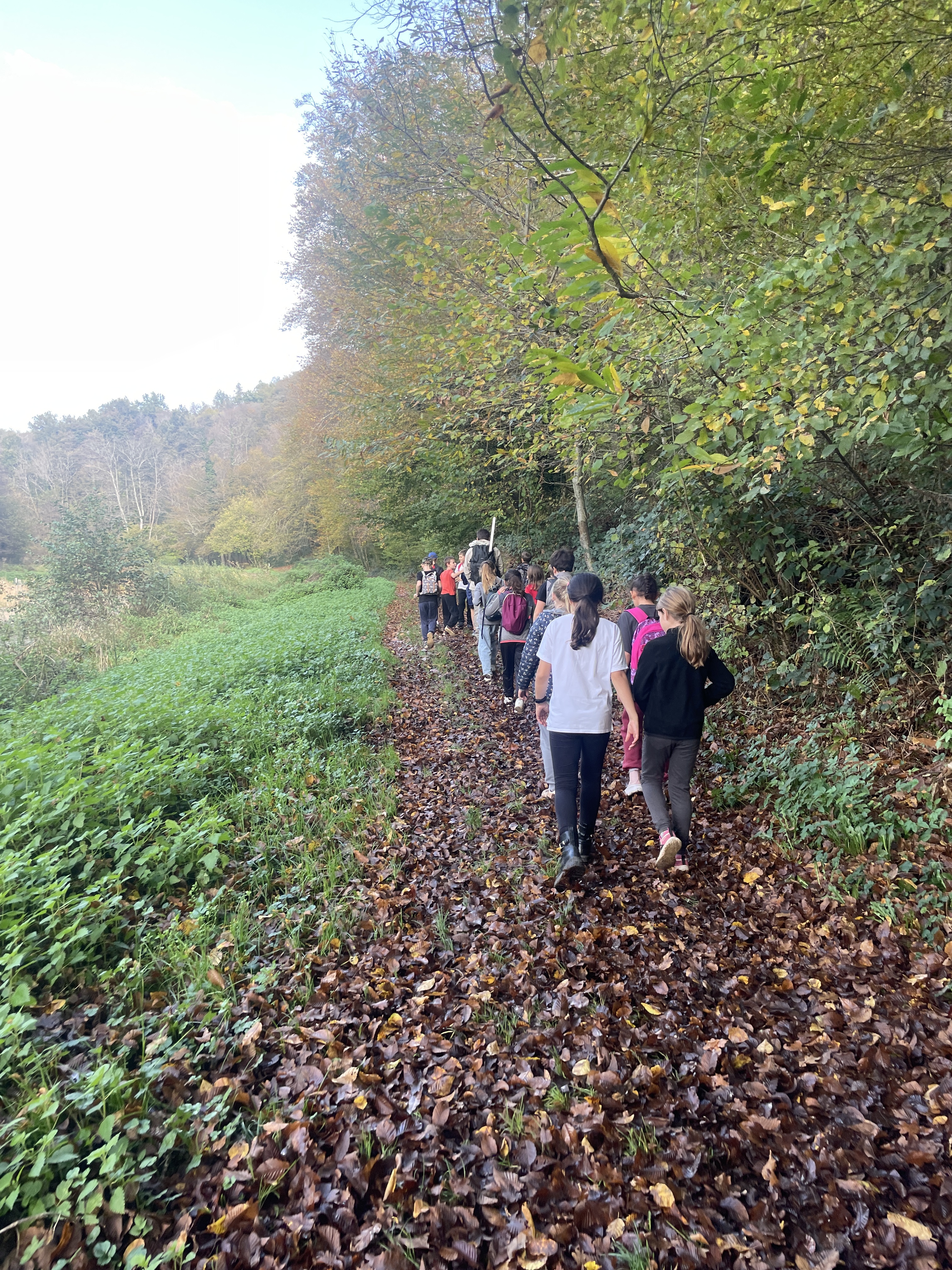 Photo 05 11 2024 14 20 12