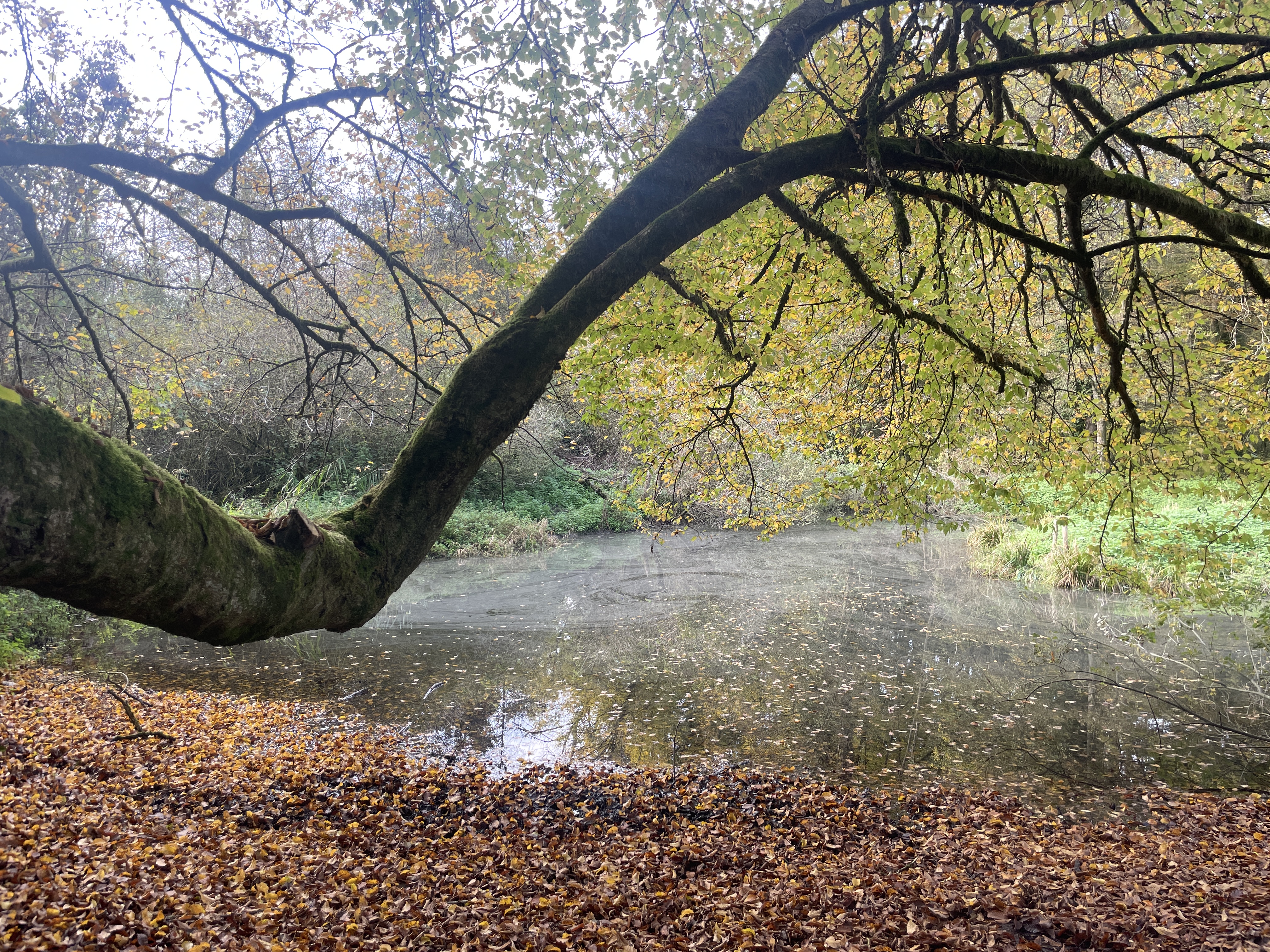 Photo 05 11 2024 14 19 38