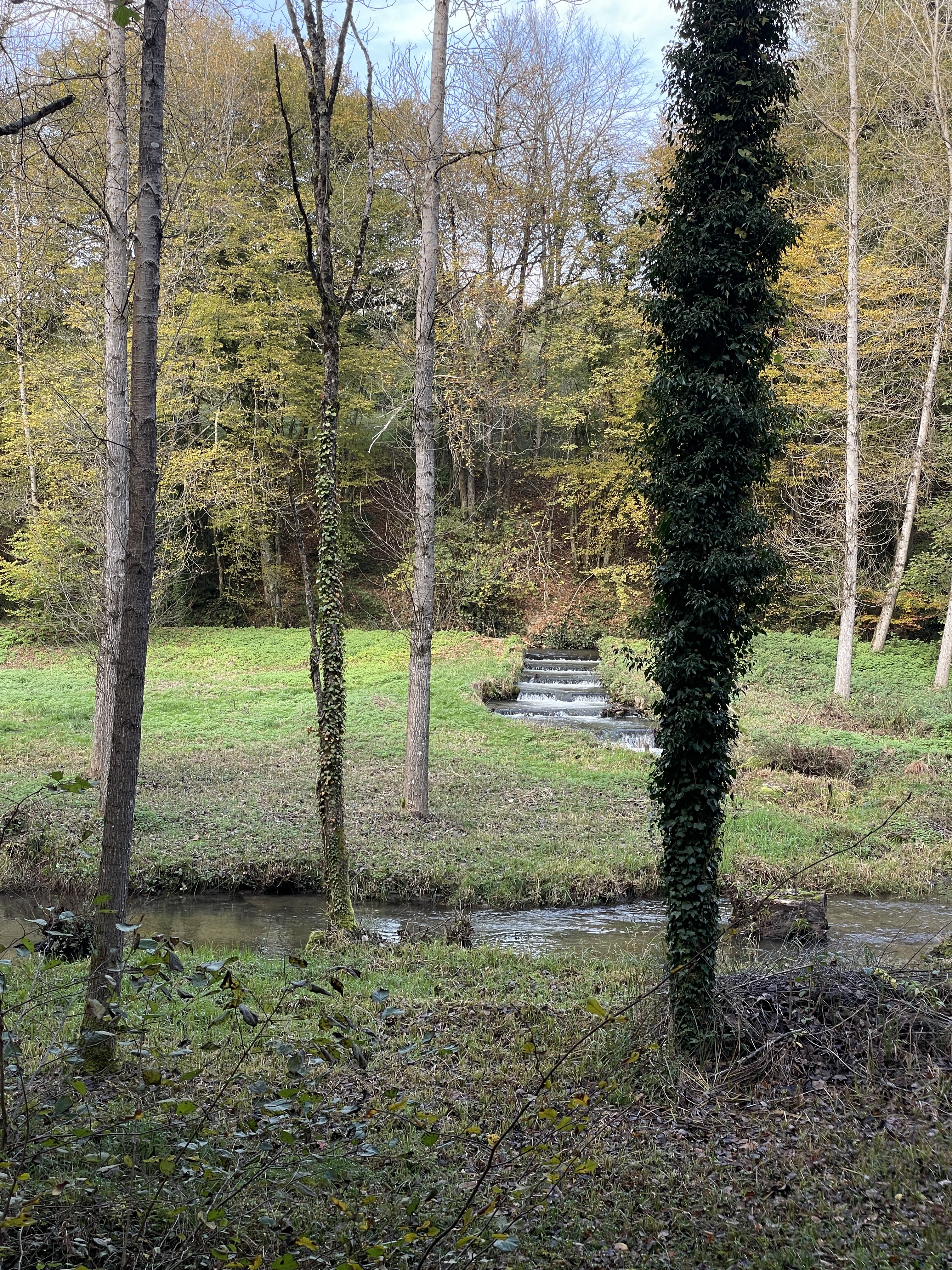 Photo 05 11 2024 14 14 38