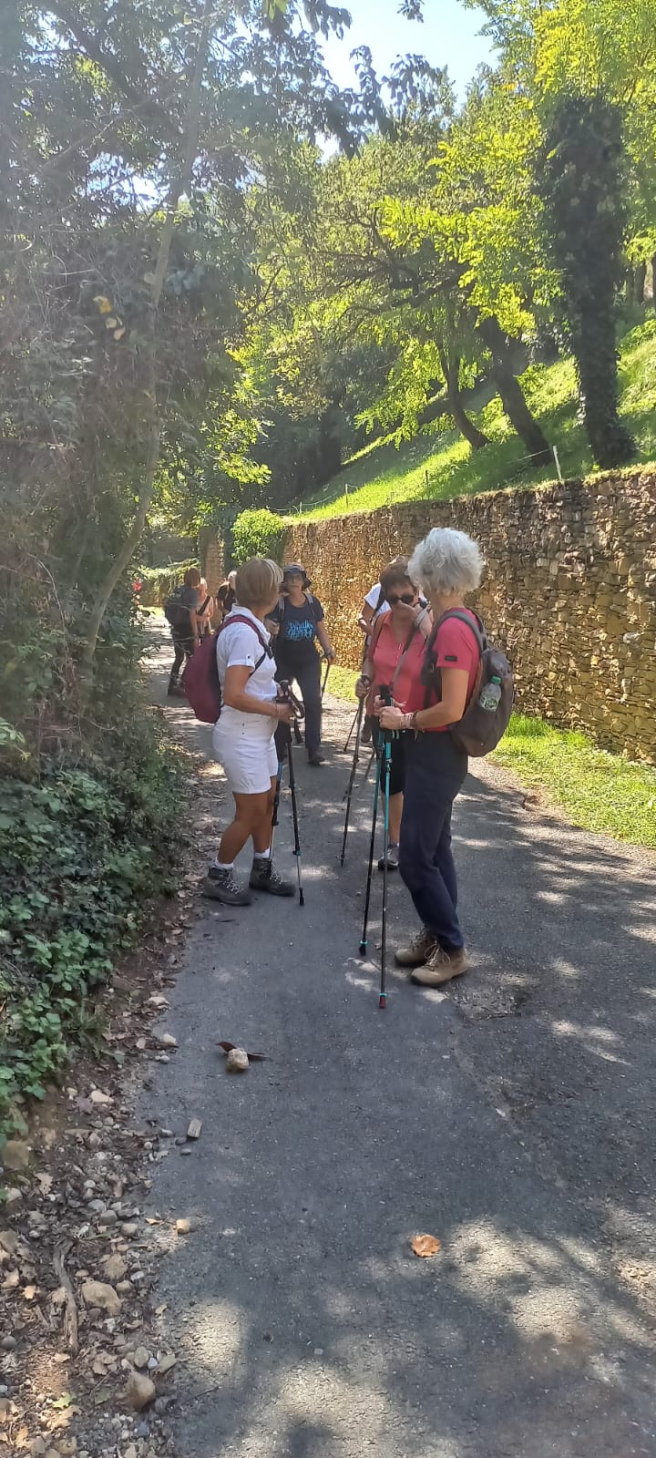 Whatsapp image 2025 09 18 at 17 37 03f