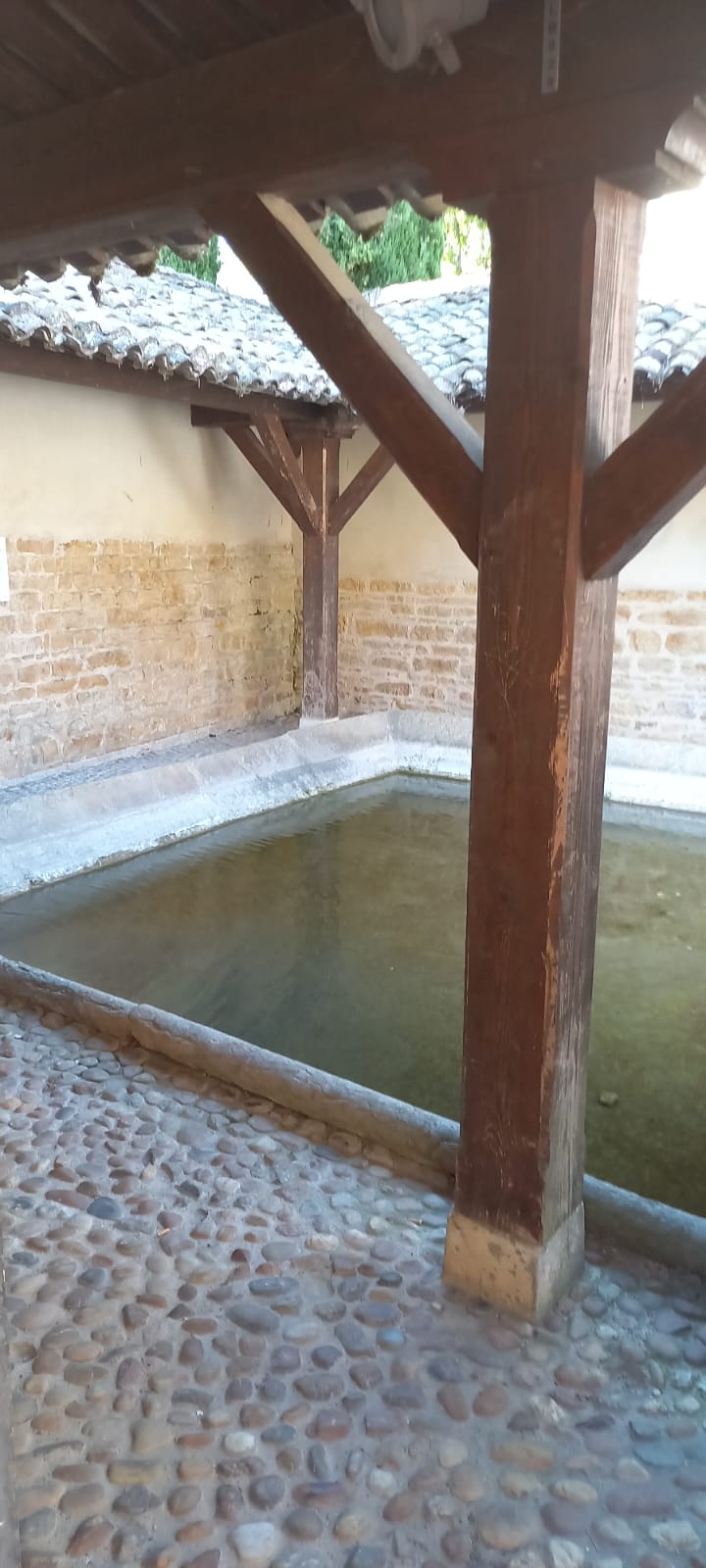 Whatsapp image 2025 09 18 at 17 37 02