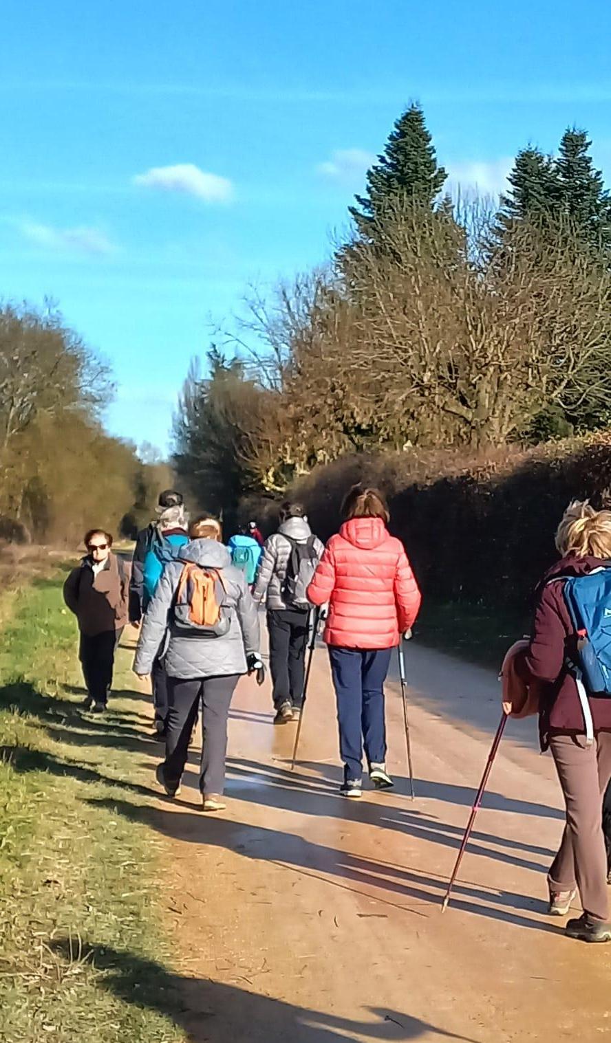 St bernard le 15 janvier