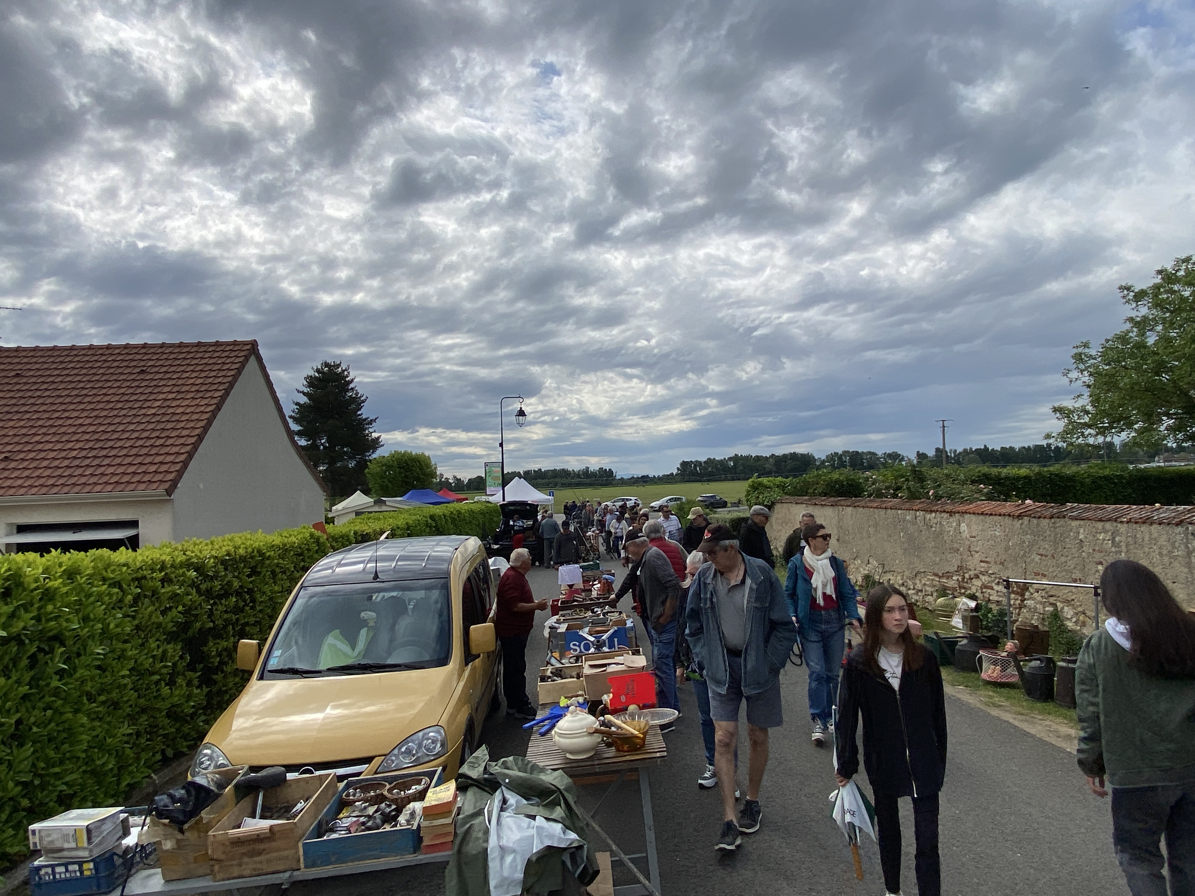 Img 7858