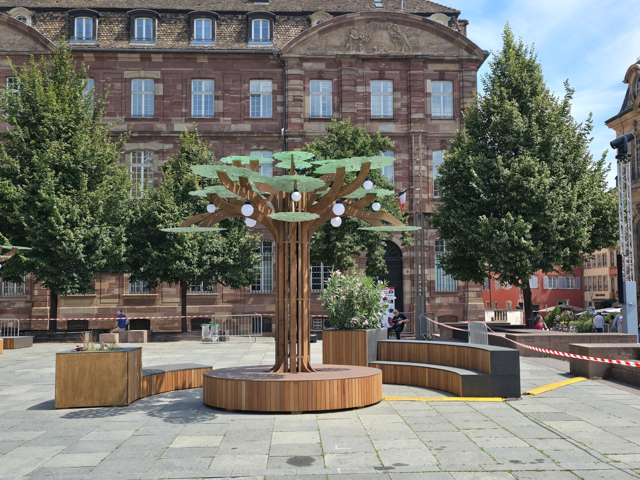 Der Wald - La forêt - The forest