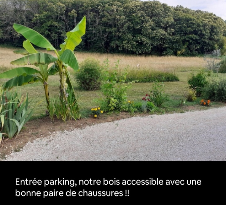 Screenshot 20241227 140115 airbnb1