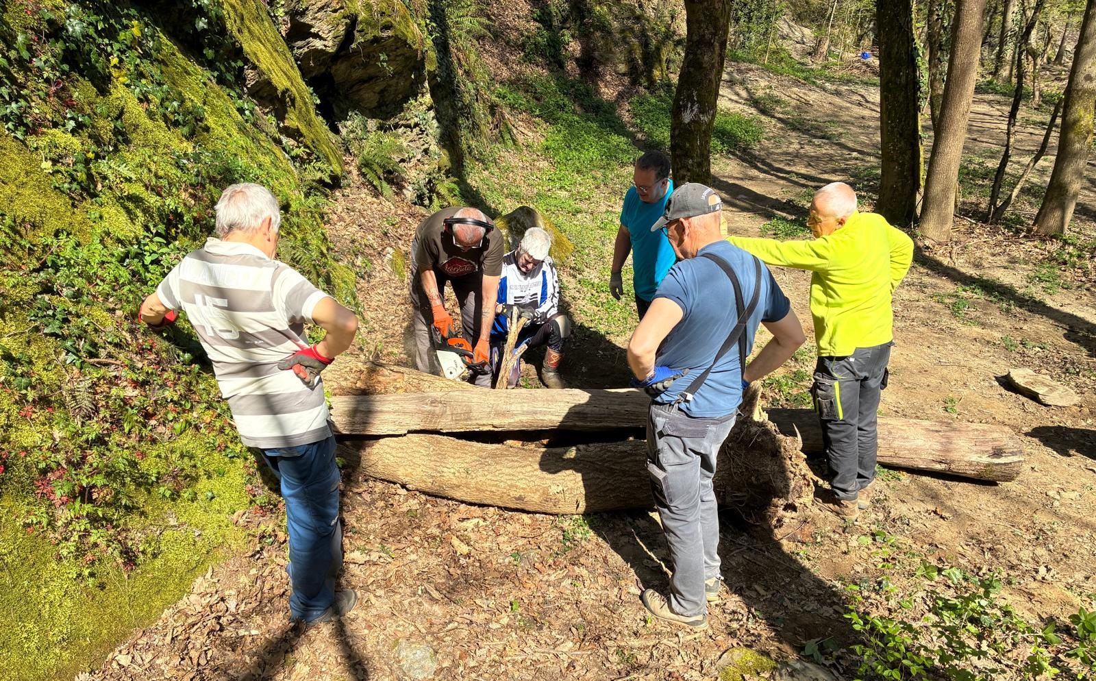 IMG-20250405-WA0002