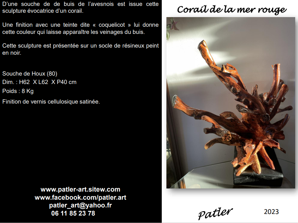 Corail-mer-rouge