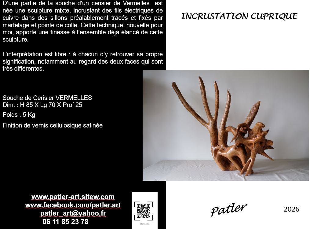 Incrustation-cuprique