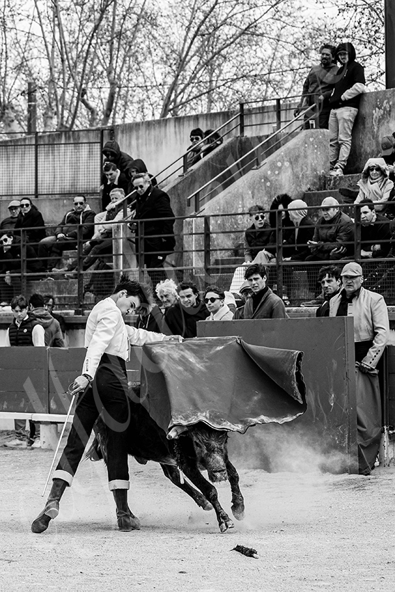 20250329 bellegardeby alfaduende 015 fd