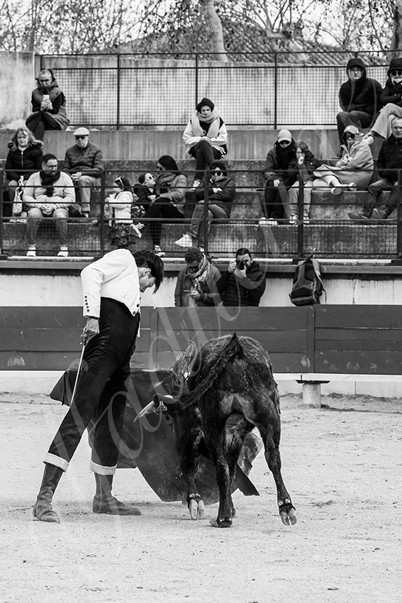 20250329 bellegardeby alfaduende 014 fd