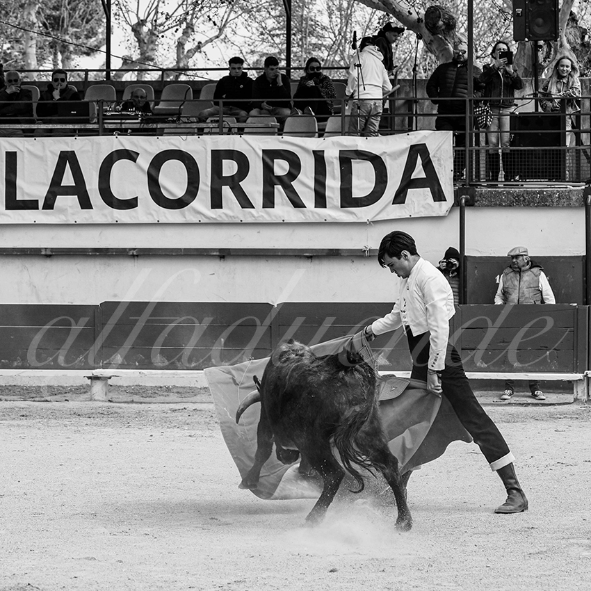 20250329 bellegardeby alfaduende 013 fd