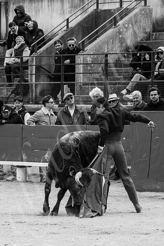 20250329 bellegardeby alfaduende 011 fd