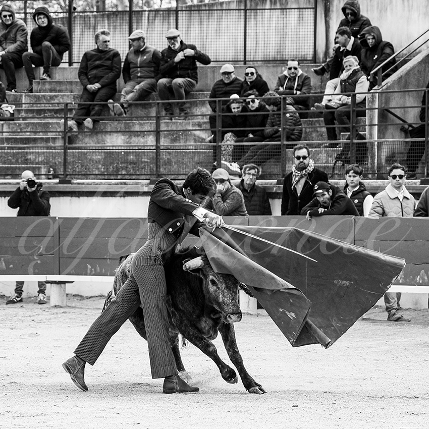 20250329 bellegardeby alfaduende 010 fd