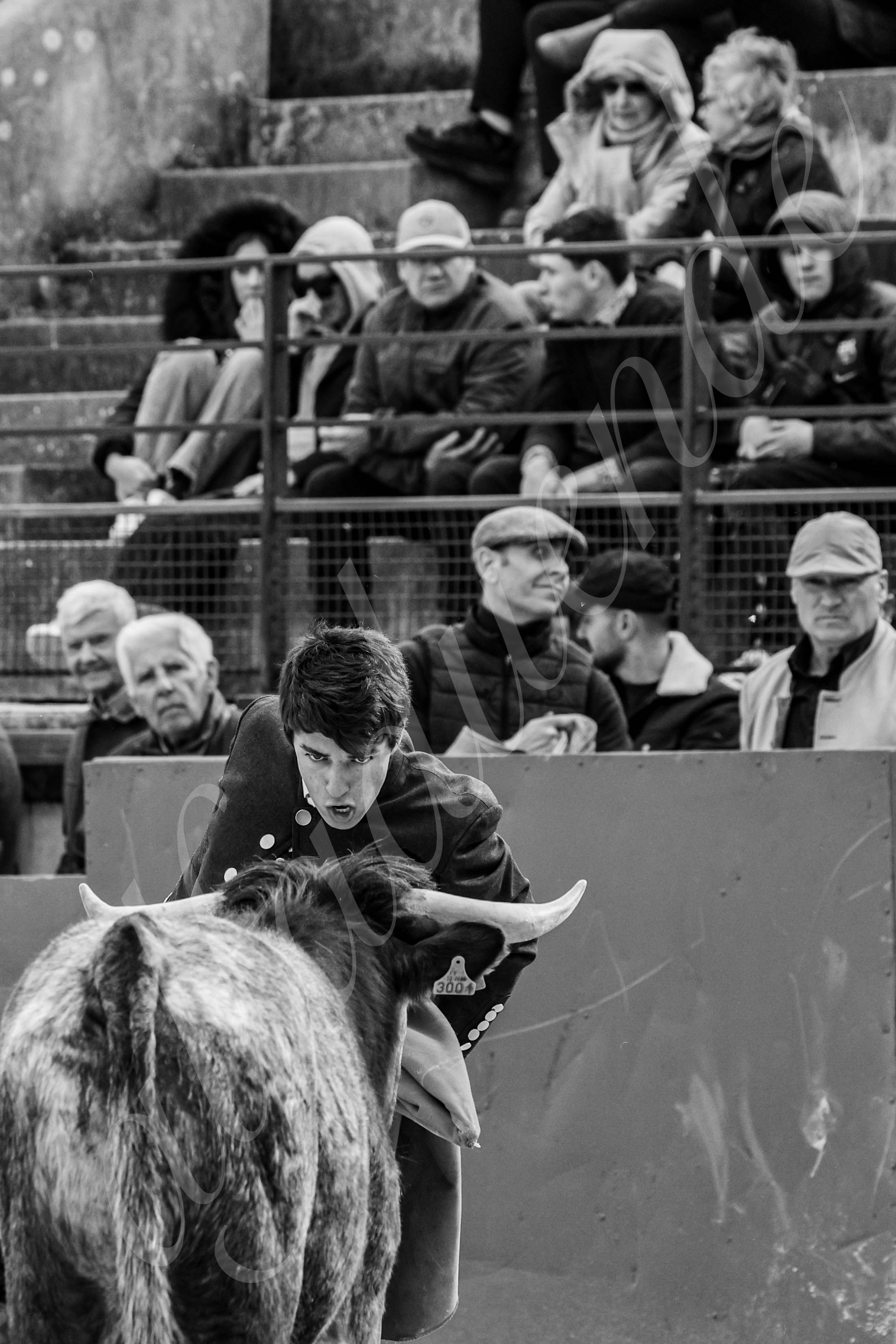 20250329 bellegardeby alfaduende 009 fd