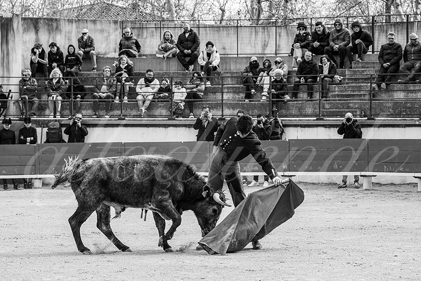 20250329 bellegardeby alfaduende 008 fd