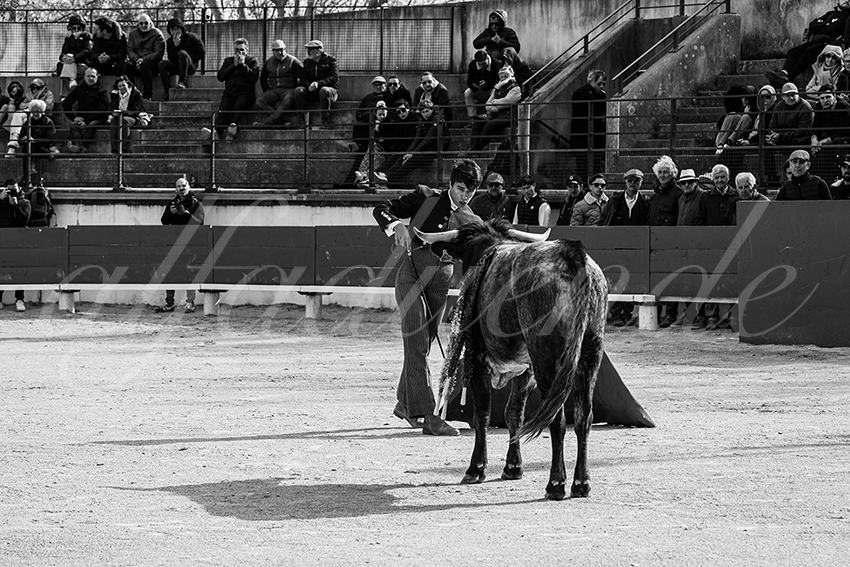 20250329 bellegardeby alfaduende 007 fd