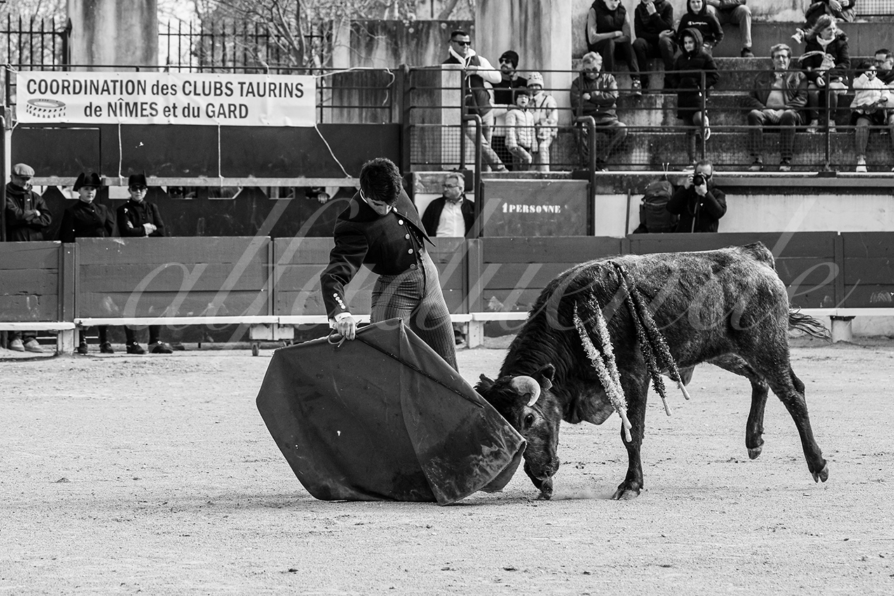 20250329 bellegardeby alfaduende 006 fd