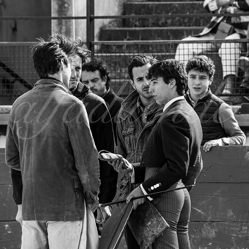 20250329 bellegardeby alfaduende 005 fd