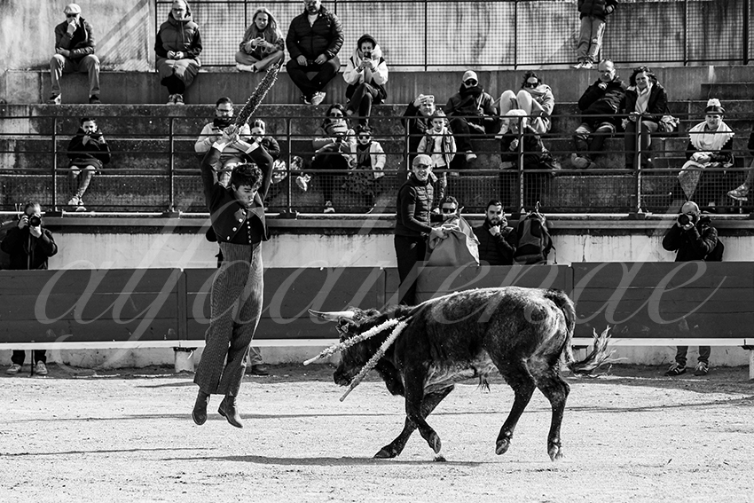 20250329 bellegardeby alfaduende 004 fd