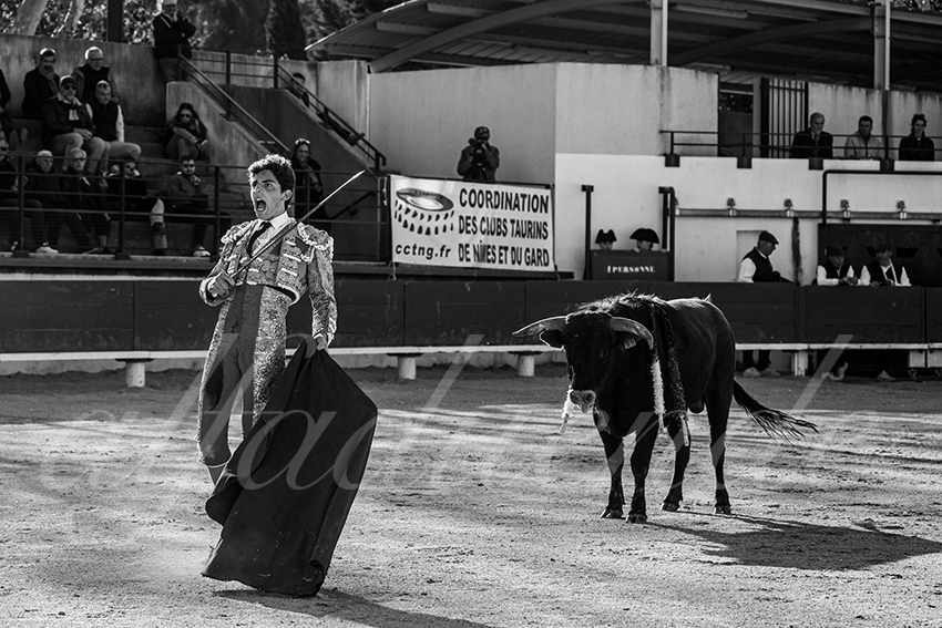 20250330 nsp bellegarde by alfaduende 030 fd