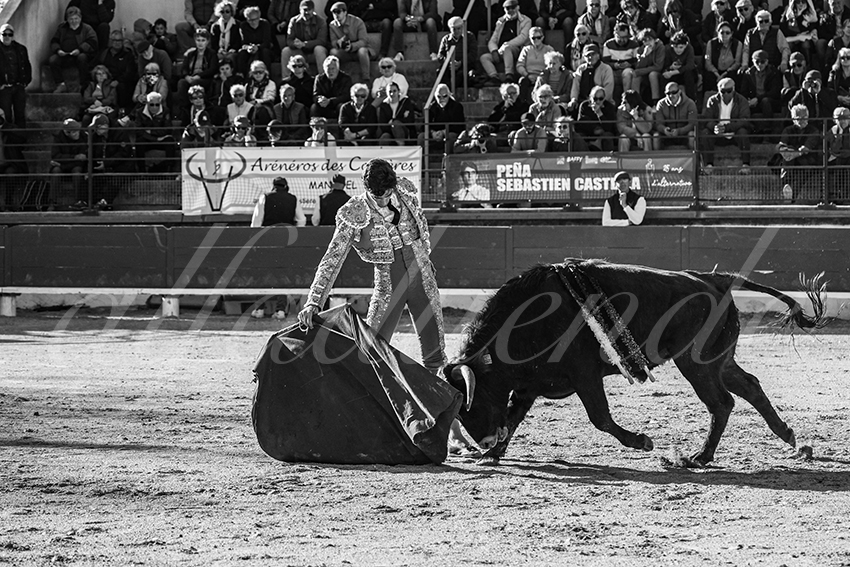 20250330 nsp bellegarde by alfaduende 028 fd