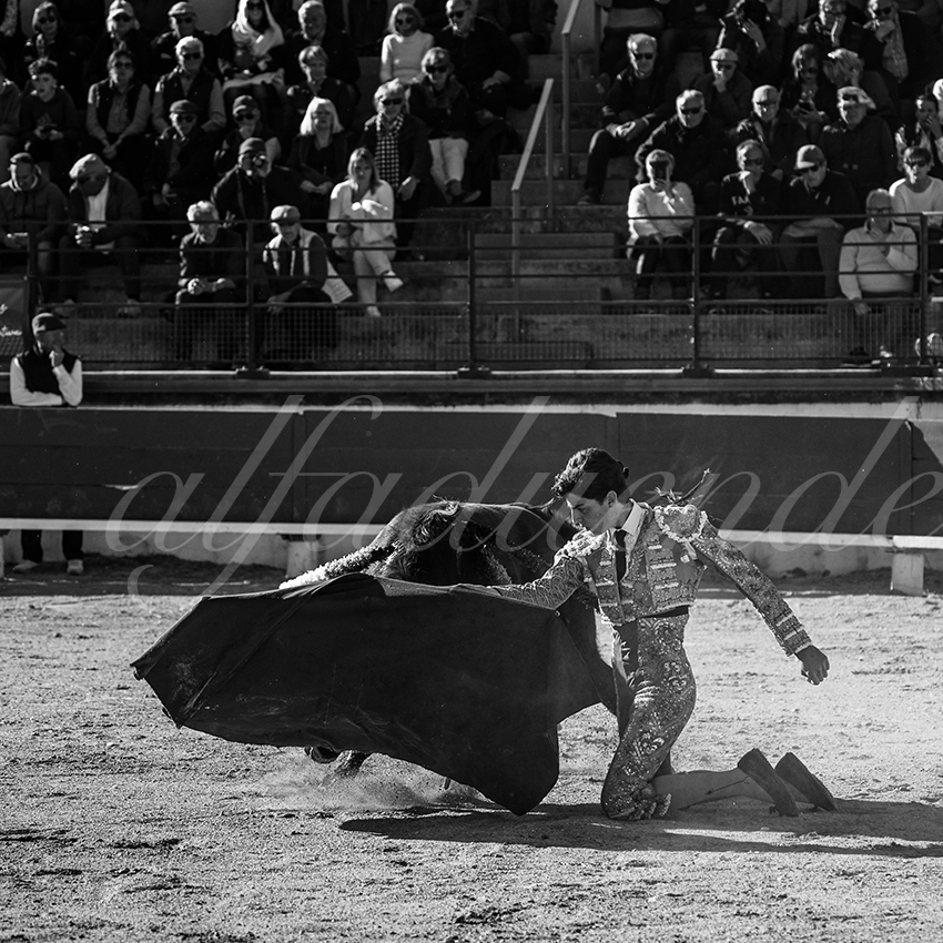 20250330 nsp bellegarde by alfaduende 027 fd