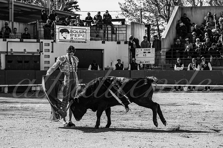 20250330 nsp bellegarde by alfaduende 026 fd