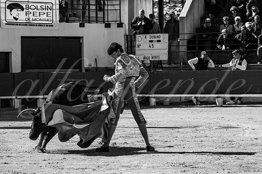 20250330 nsp bellegarde by alfaduende 025 fd