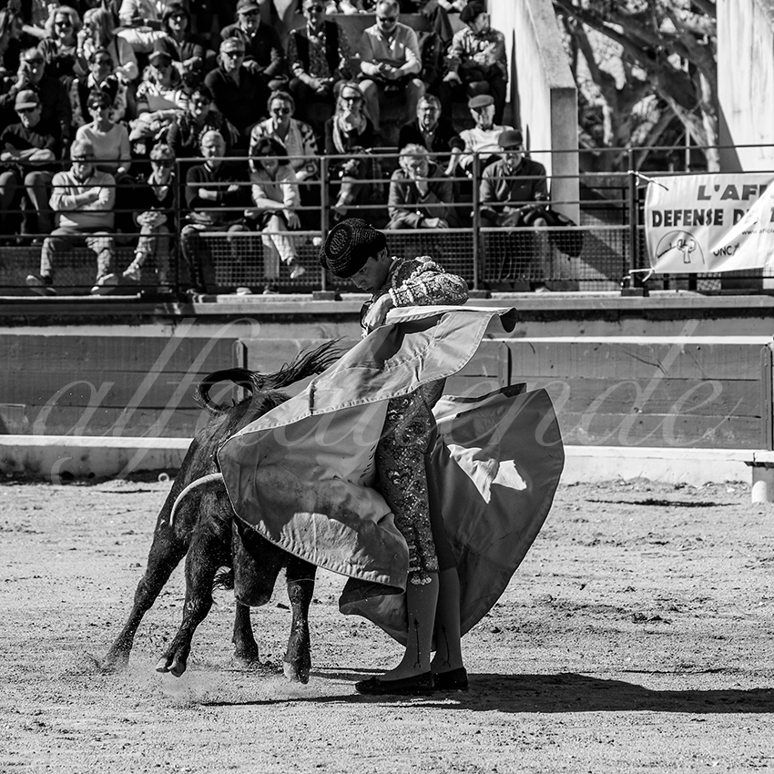 20250330 nsp bellegarde by alfaduende 024 fd