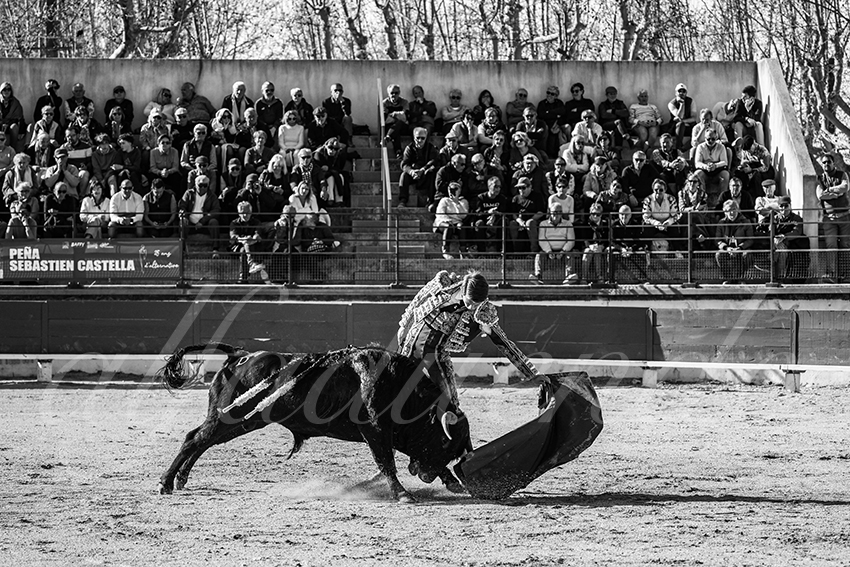 20250330 nsp bellegarde by alfaduende 022 fd