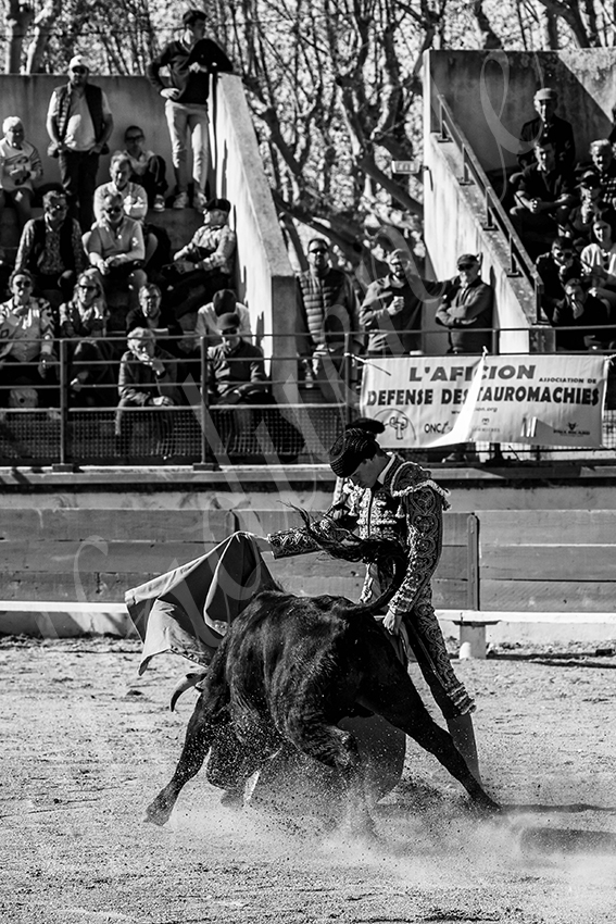 20250330 nsp bellegarde by alfaduende 018 fd