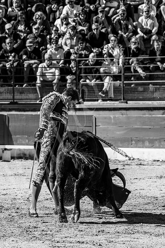 20250330 nsp bellegarde by alfaduende 017 fd