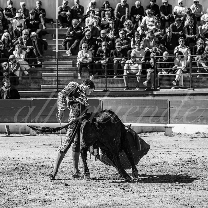 20250330 nsp bellegarde by alfaduende 016 fd