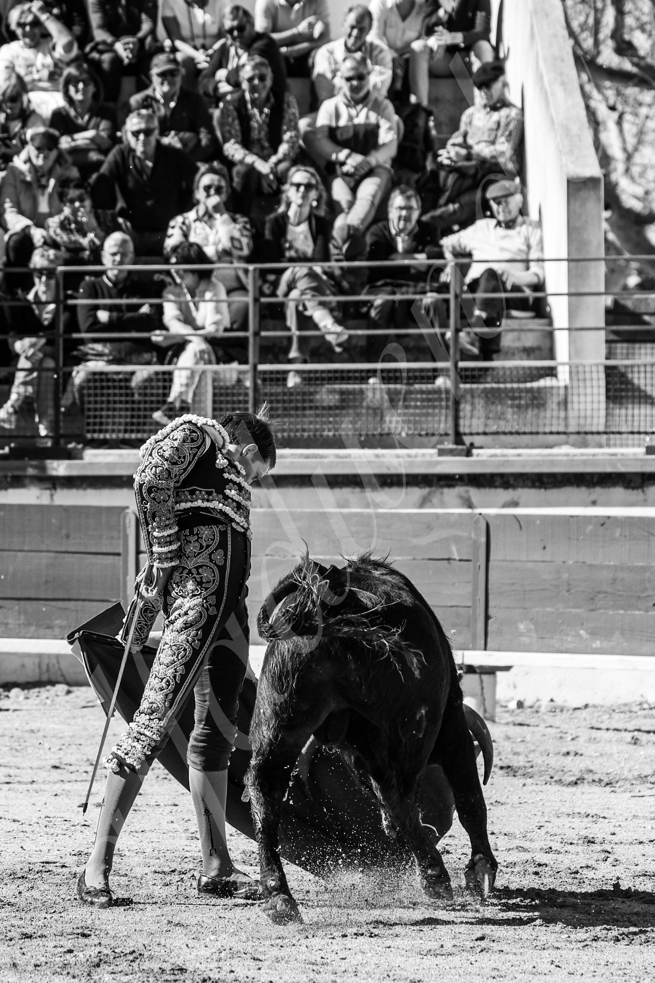 20250330 nsp bellegarde by alfaduende 015 fd